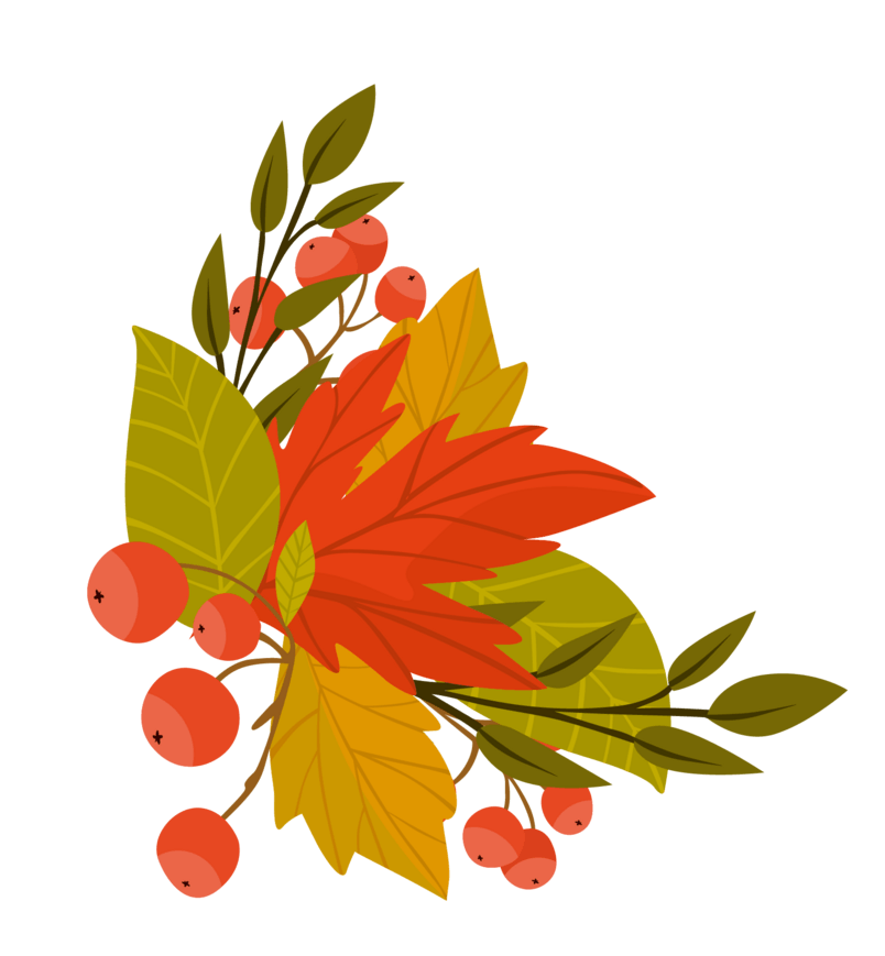 花艺边框图片