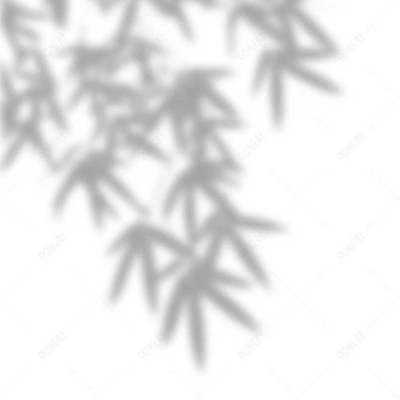 竹子植物投影光效夏日光影