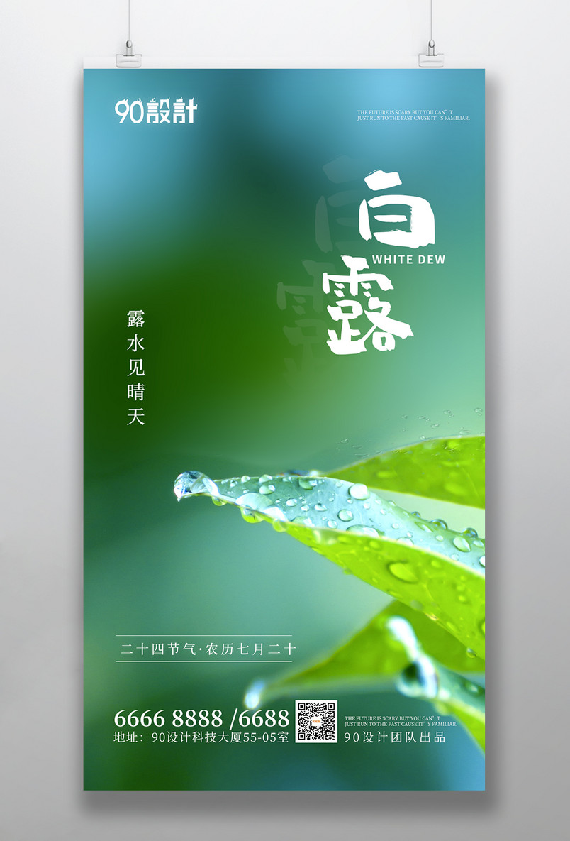 二十四节气之白露简约清新手机海报
