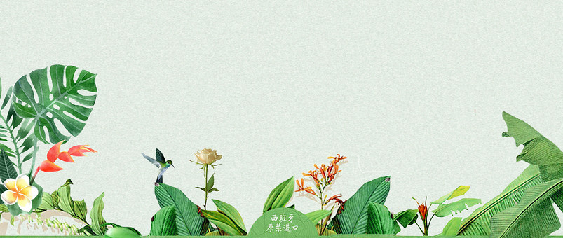 绿色小清新简约手绘植物精品女装海报背景图