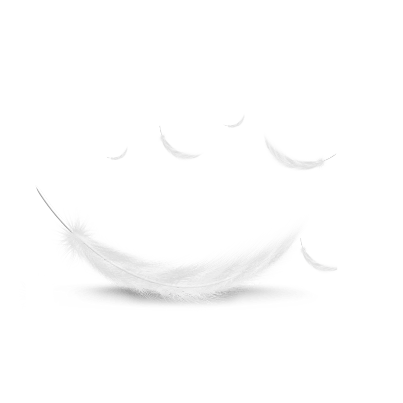 白色羽毛