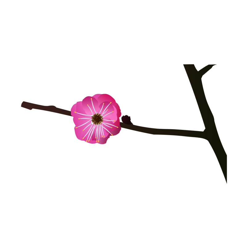 冬天冬季梅花手绘png