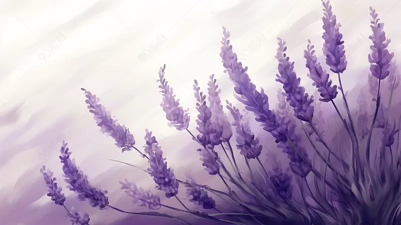 广告设计素材元素芳香薰衣草