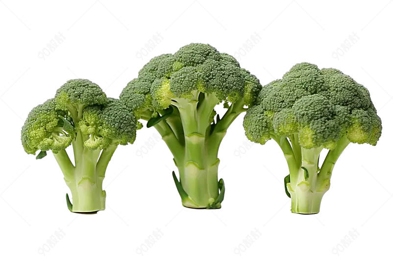 新鲜花椰菜农家新鲜采摘花菜