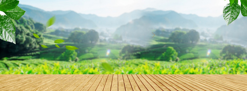 清新木板绿植立体空间食品茶叶海报背景