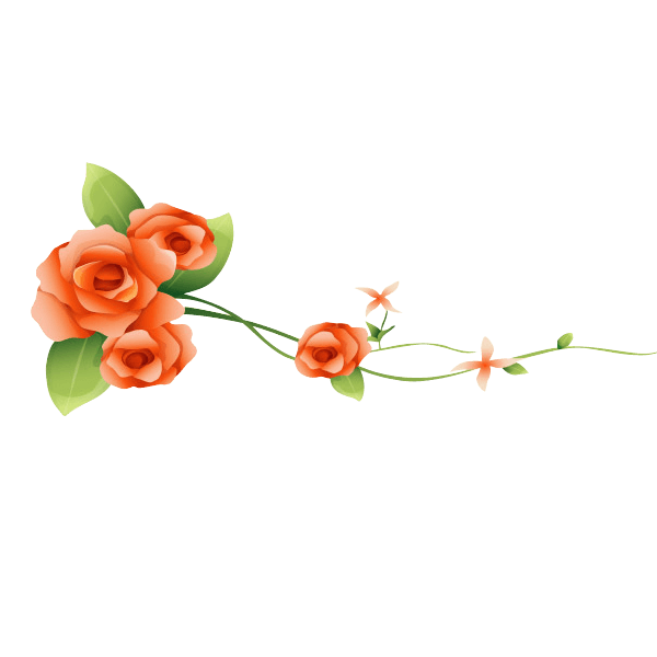 花边花纹花框鲜花