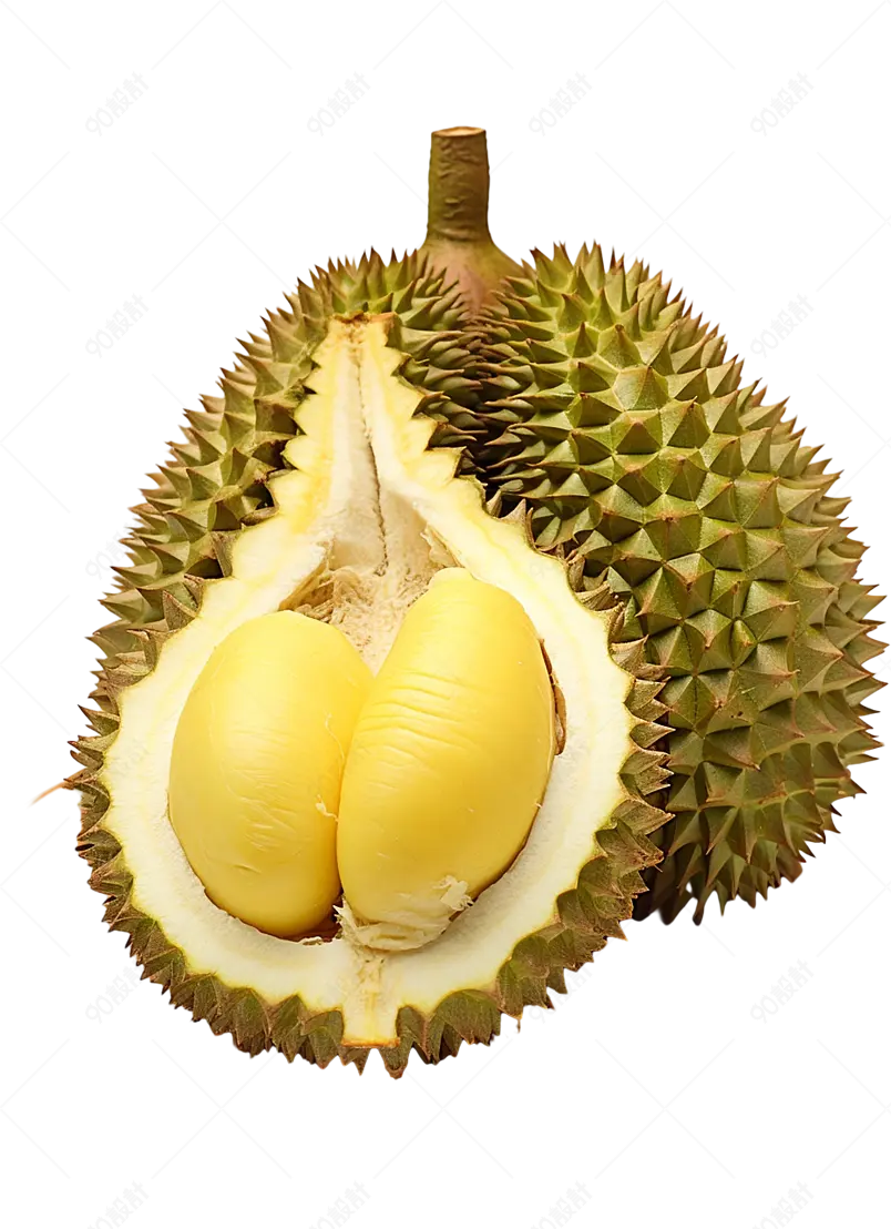 奶油般细腻软滑金枕头榴莲