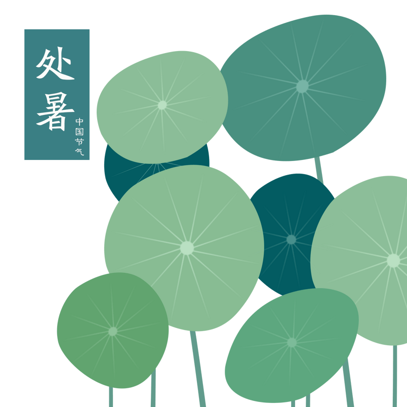 手绘处暑节气荷叶