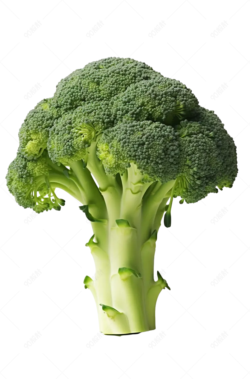 精选高品质高质量有机西蓝花