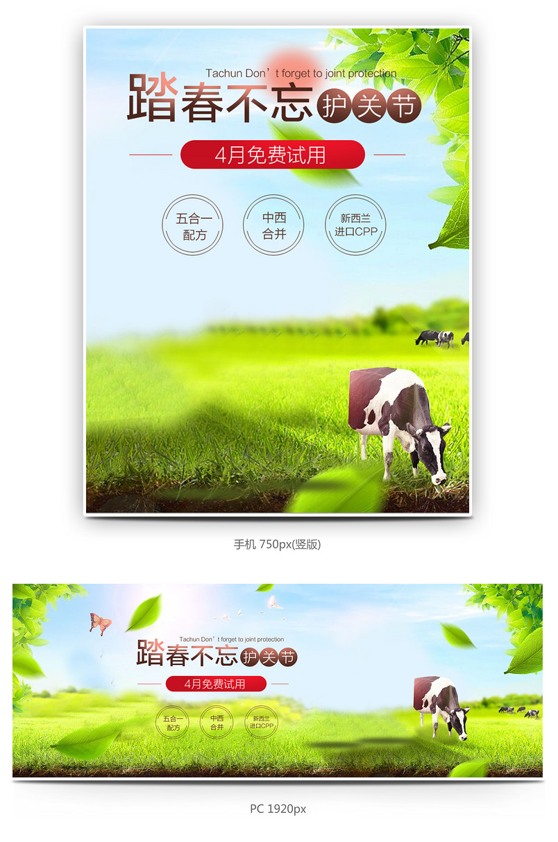 清新风格绿色进口医疗保健季钙片海报