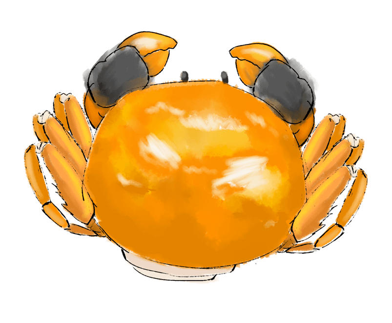 手绘美食螃蟹插画