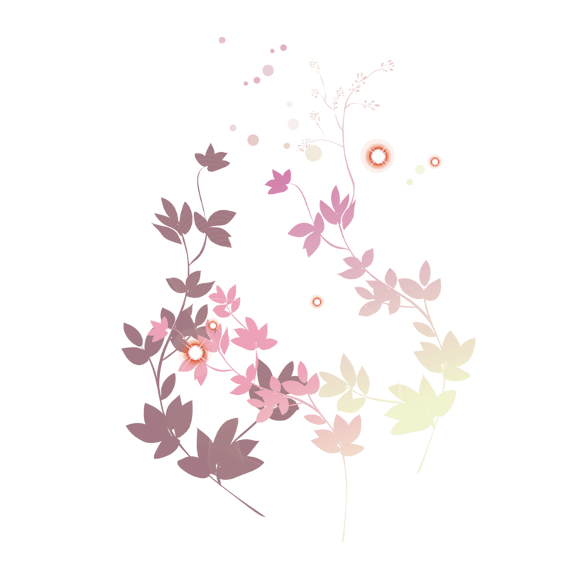 叶子花瓣