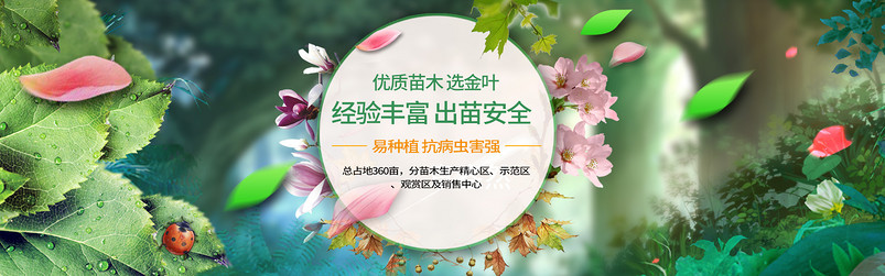 时尚风小清新日常苗木植物全屏海报