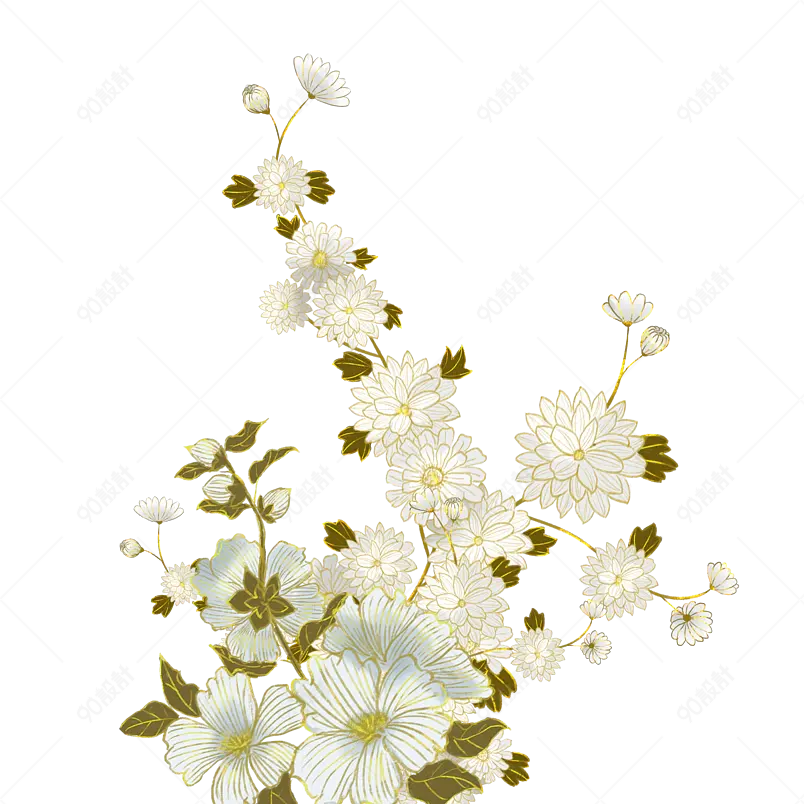 国潮中国风工笔画植物插画叶子元素