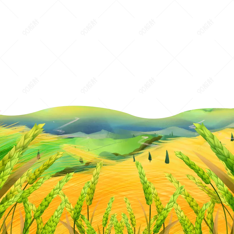 卡通装饰麦子小满黄色小麦插画元素