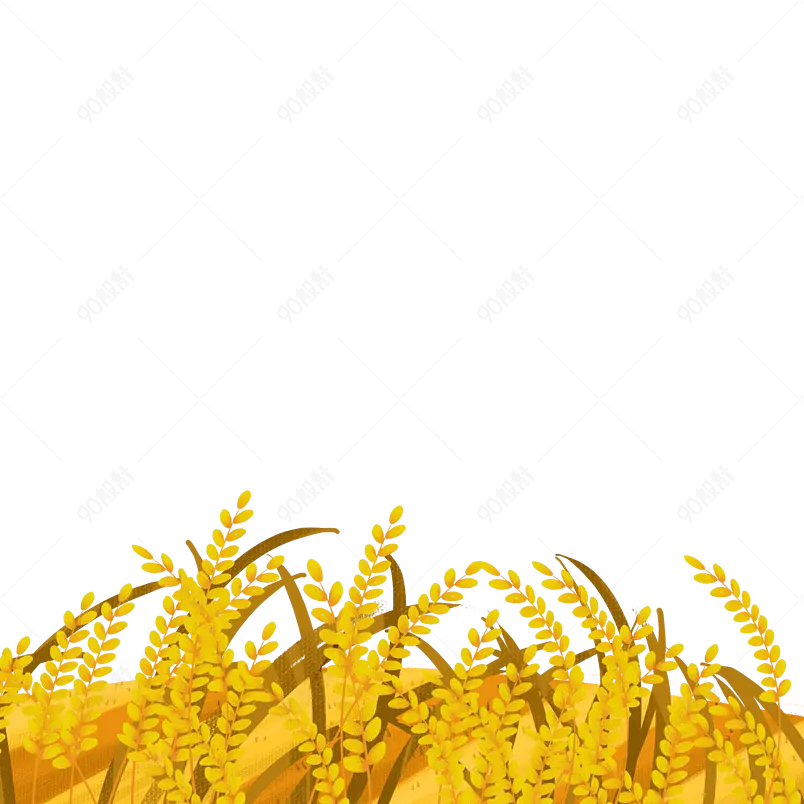 卡通装饰麦子小满黄色小麦插画元素