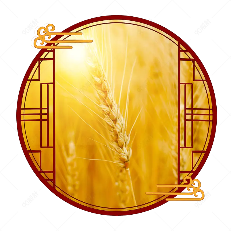 国潮传统小满节气小麦麦穗海报装饰元素