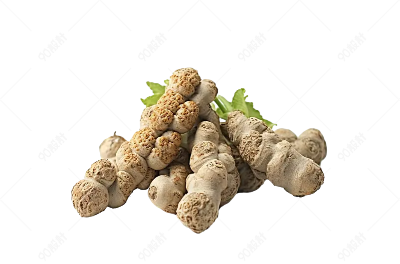 中国传统文化医疗中药材营养补品图像三七摄影图