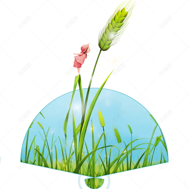 二十四传统小满节气小麦麦穗圆形边框装饰元素