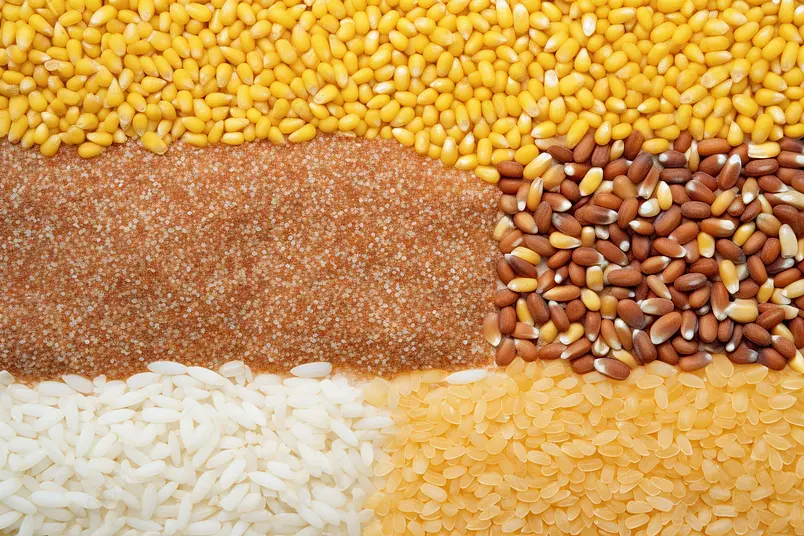 农产品五谷杂粮条形平铺对比展示图