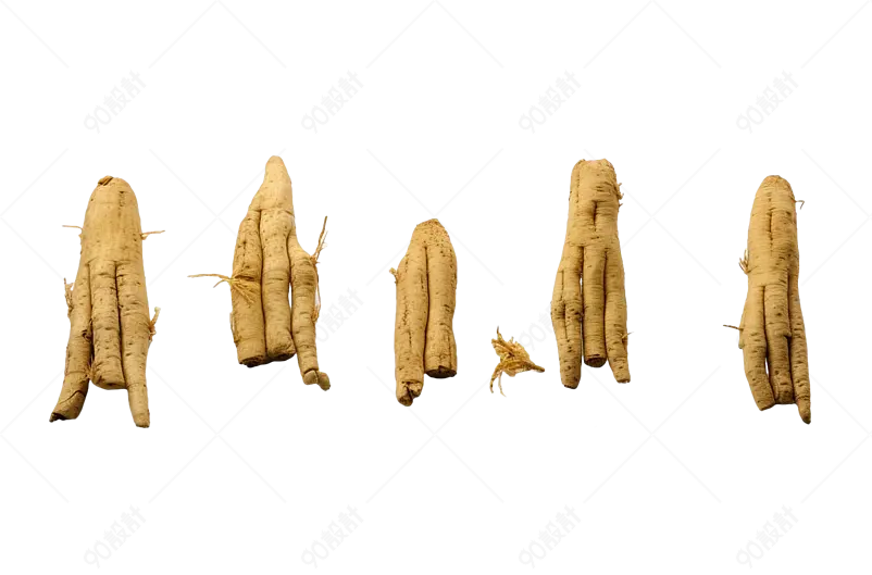 人参西洋参高丽参东北特产调气养身