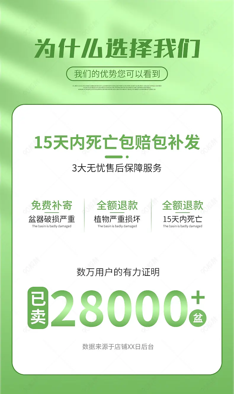 绿色清新植物盆栽店铺售后客服营销模块设计模板图片