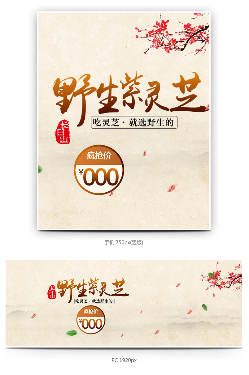 灵芝中药药材补品海报