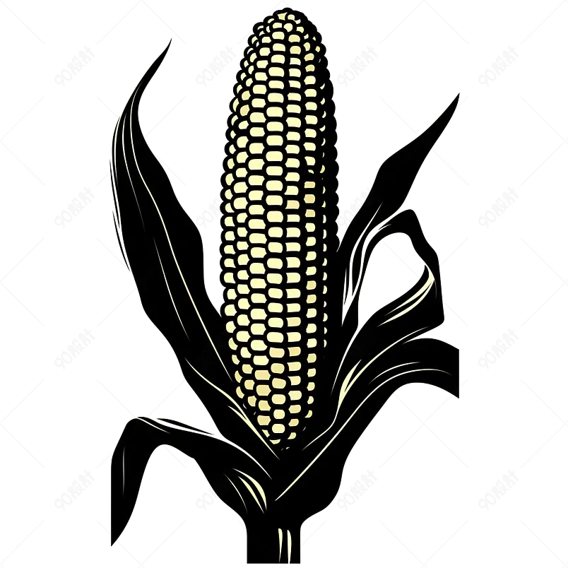 黑色实拍剪影玉米食品粮食元素