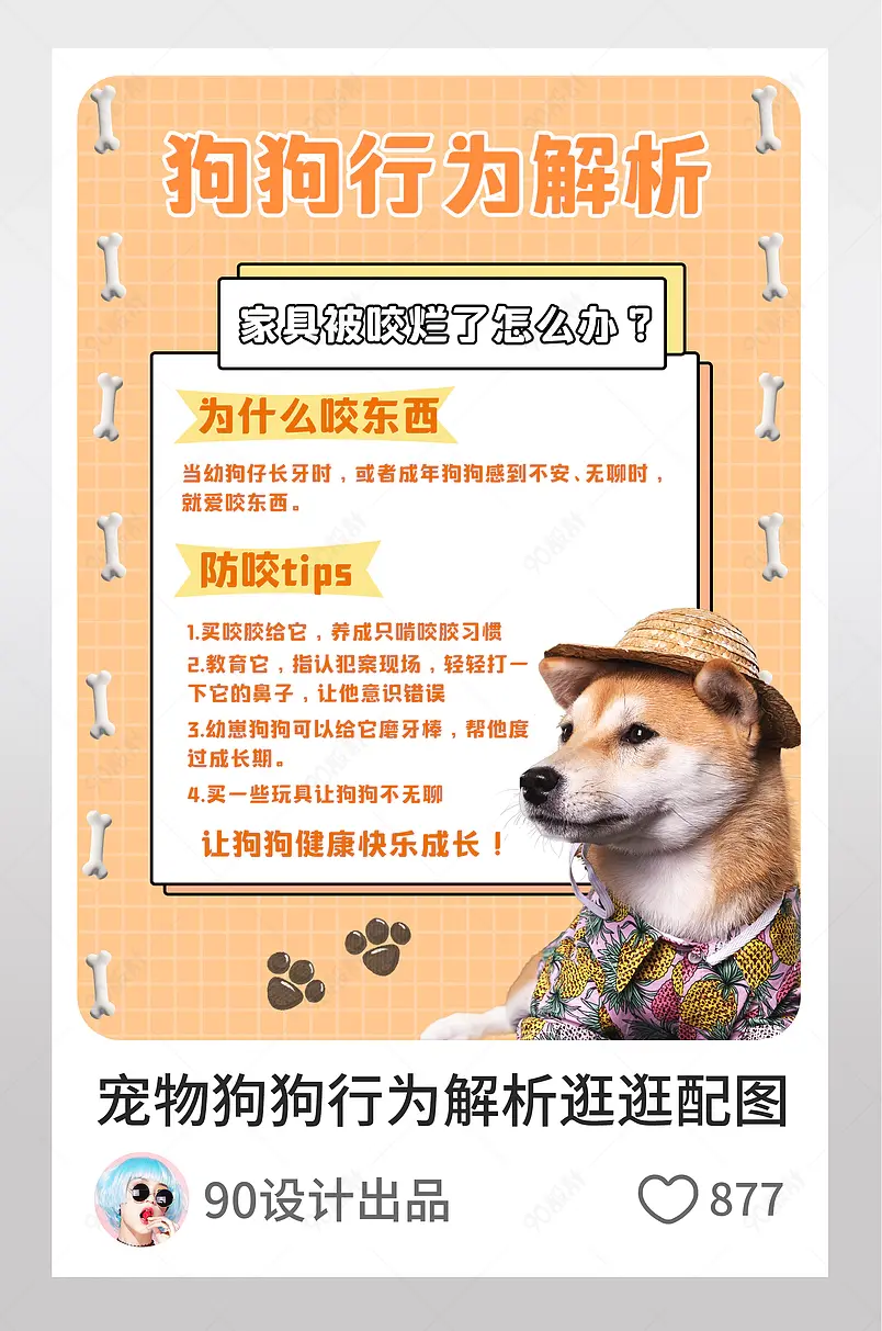 小清新卡通宠物狗狗行为解析逛逛配图