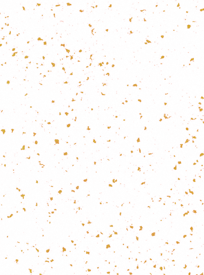 金箔金碎屑