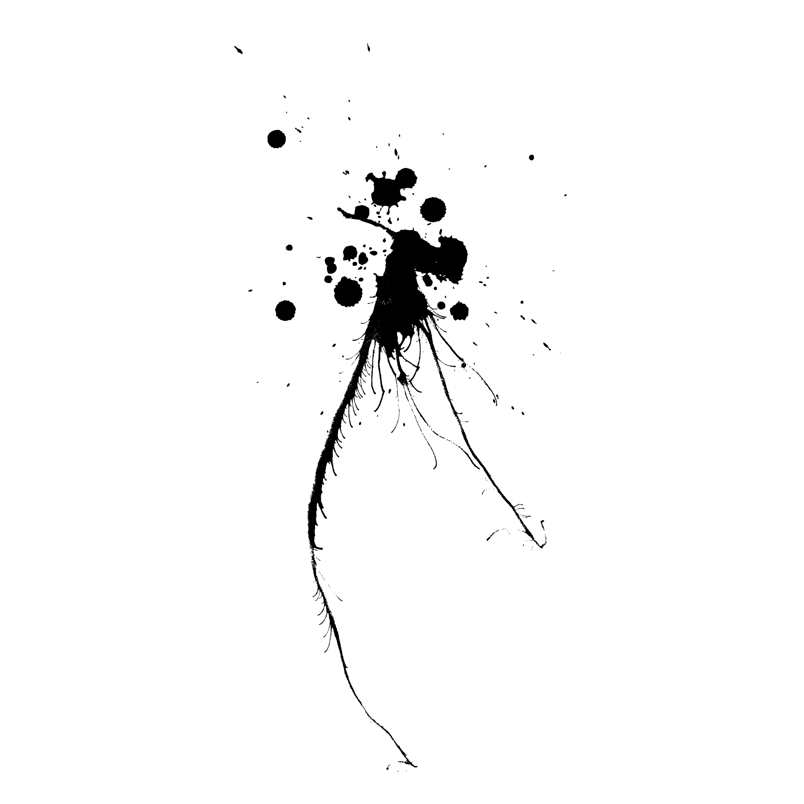 手绘黑色墨迹墨点笔刷