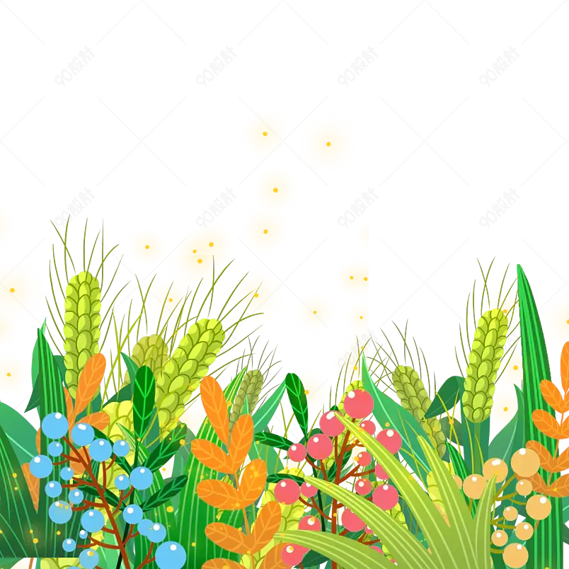 卡通插画装饰小麦小满节气植物元素