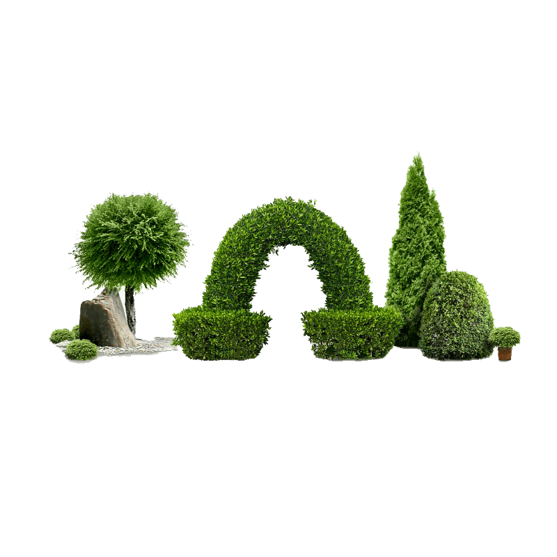 绿植石头实拍