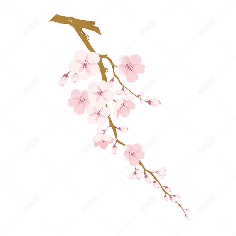 原创手绘粉色樱花单簇治愈清新简约