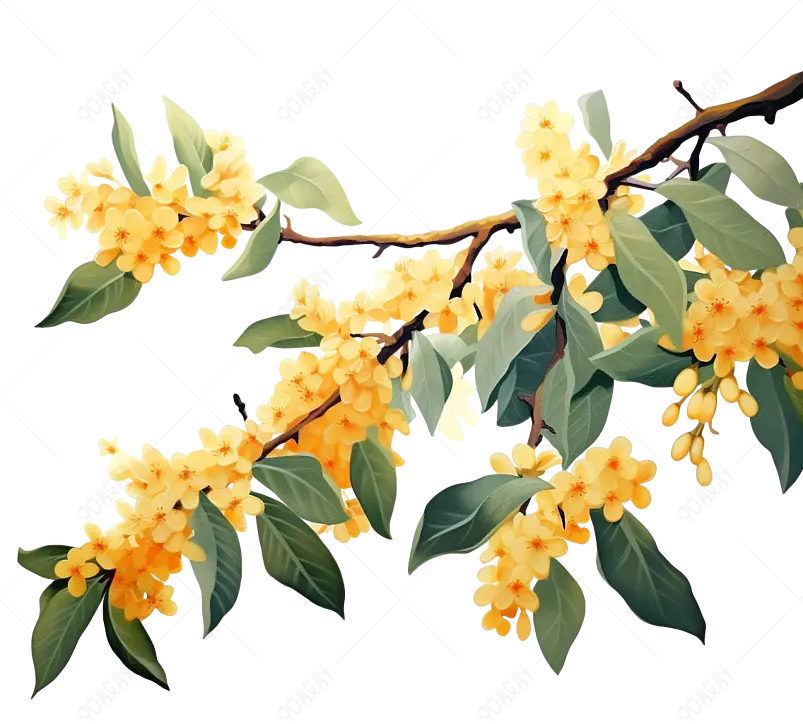 黄色桂花树枝中秋节插画手绘元素