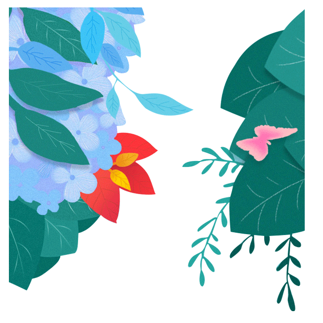 植物插画
