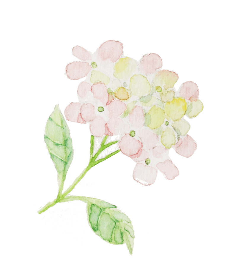 小清新日系小花