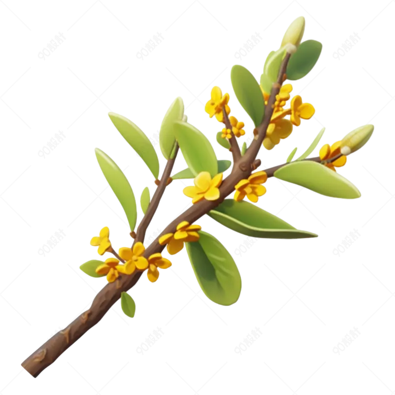 3D桂花枝八月飘香的桂花丹桂飘香