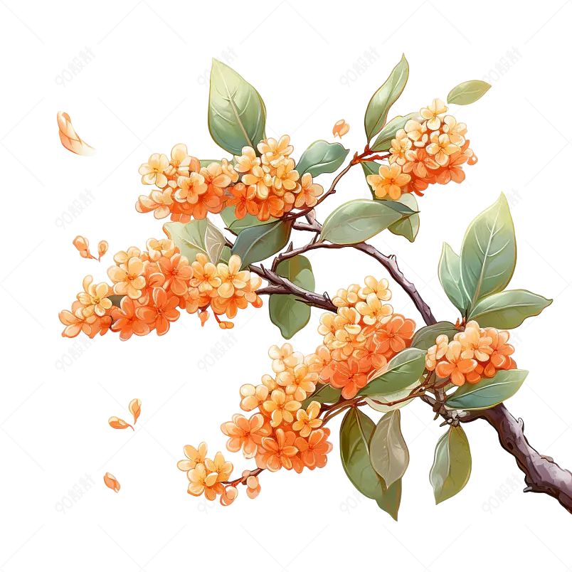 黄色金桂中秋节插画手绘元素