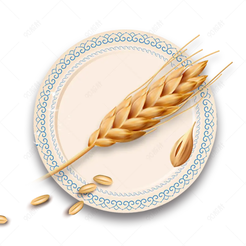 清新传统小满节气小麦麦穗海报装饰元素