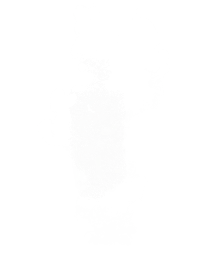 白色烟雾