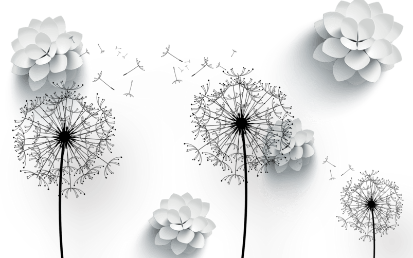 花蒲公英