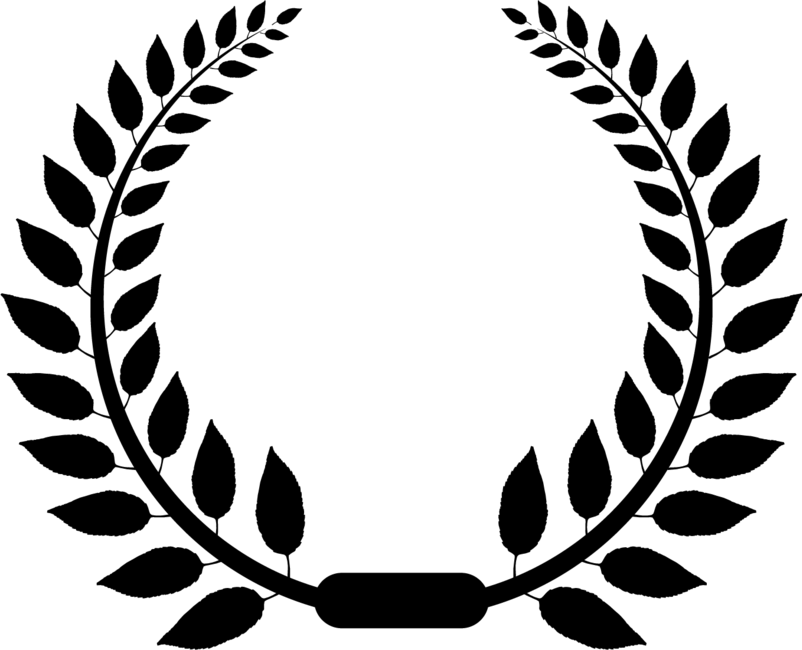 简约橄榄枝边框