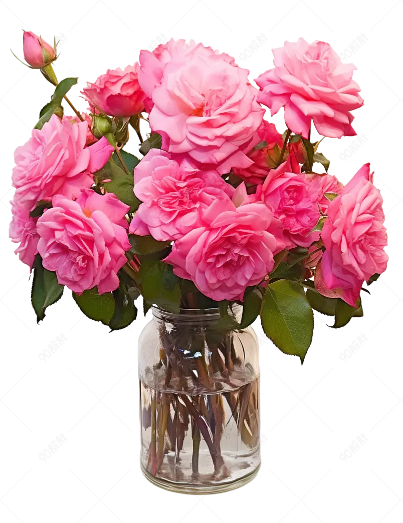 粉色实拍玫瑰花花朵花束花瓶元素