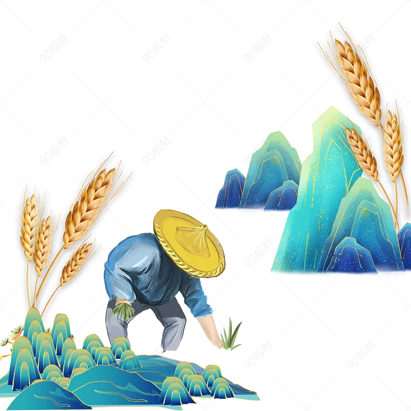 清新传统小满节气小麦麦穗海报装饰元素