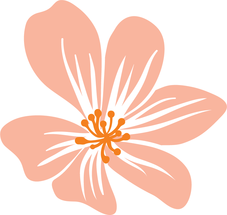 粉色花瓣