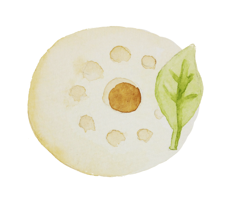 小清新日系茶饼