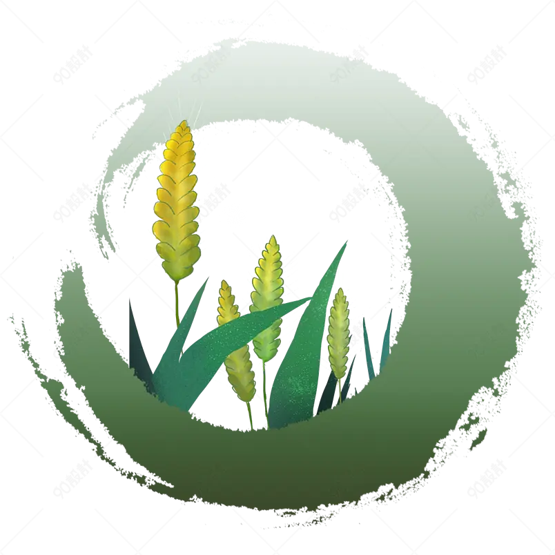 清新传统小满节气小麦麦穗海报装饰元素