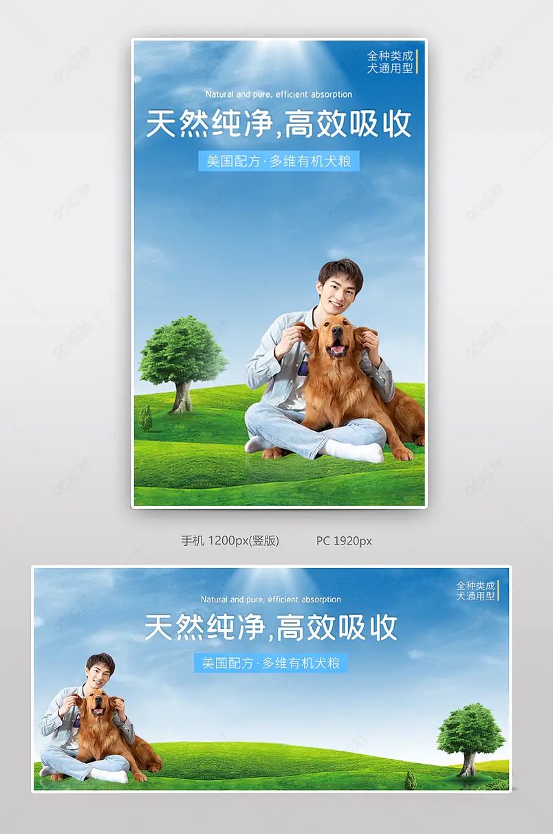 简约大自然风 宠物用品 进口狗粮海报banner