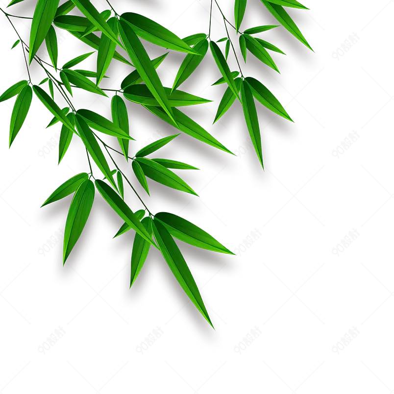 插画卡通绿色植物装饰树叶小元素